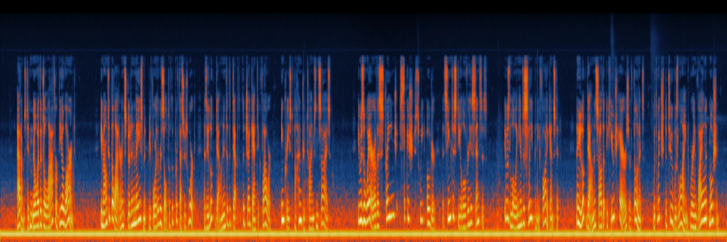 Spectrogram of the original recording with a dark band of low frequency rumble